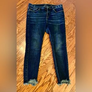 Judy Blue Skinny 13/31